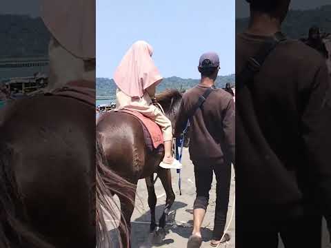 mba Keisha naik kudu di tepi pantai #kuda #pantai #liburankeluarga #liburan #bayisehat