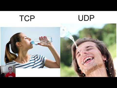 Cisco CCNA 1 Introduction to Networks v7 Module 14 Section 14.1 - Transportation of Data