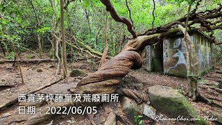 西貢茅坪藤皇及荒廢廁所