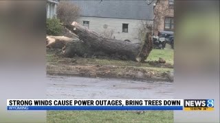 Strong winds cause power outages, bring trees down in West Michigan