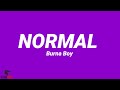 Burna Boy - Normal (Traduction Française 🇫🇷 & Lyrics)