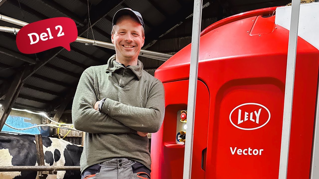 Automatisering og bedre dyrehelse hos Kjosås Samdrift