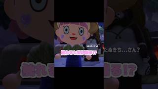 なんだ、たぬき違いか…？！？！#あつ森 #どうぶつの森 #あつまれどうぶつの森 #どう森 #shortvideo #shorts #short #たぬきのおきもの