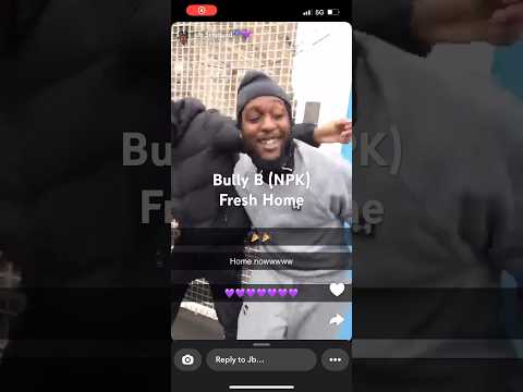 Bully B (NPK) fresh home