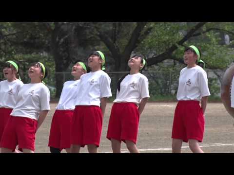 中学生乳首投稿画像&JS小学生高学年乳首