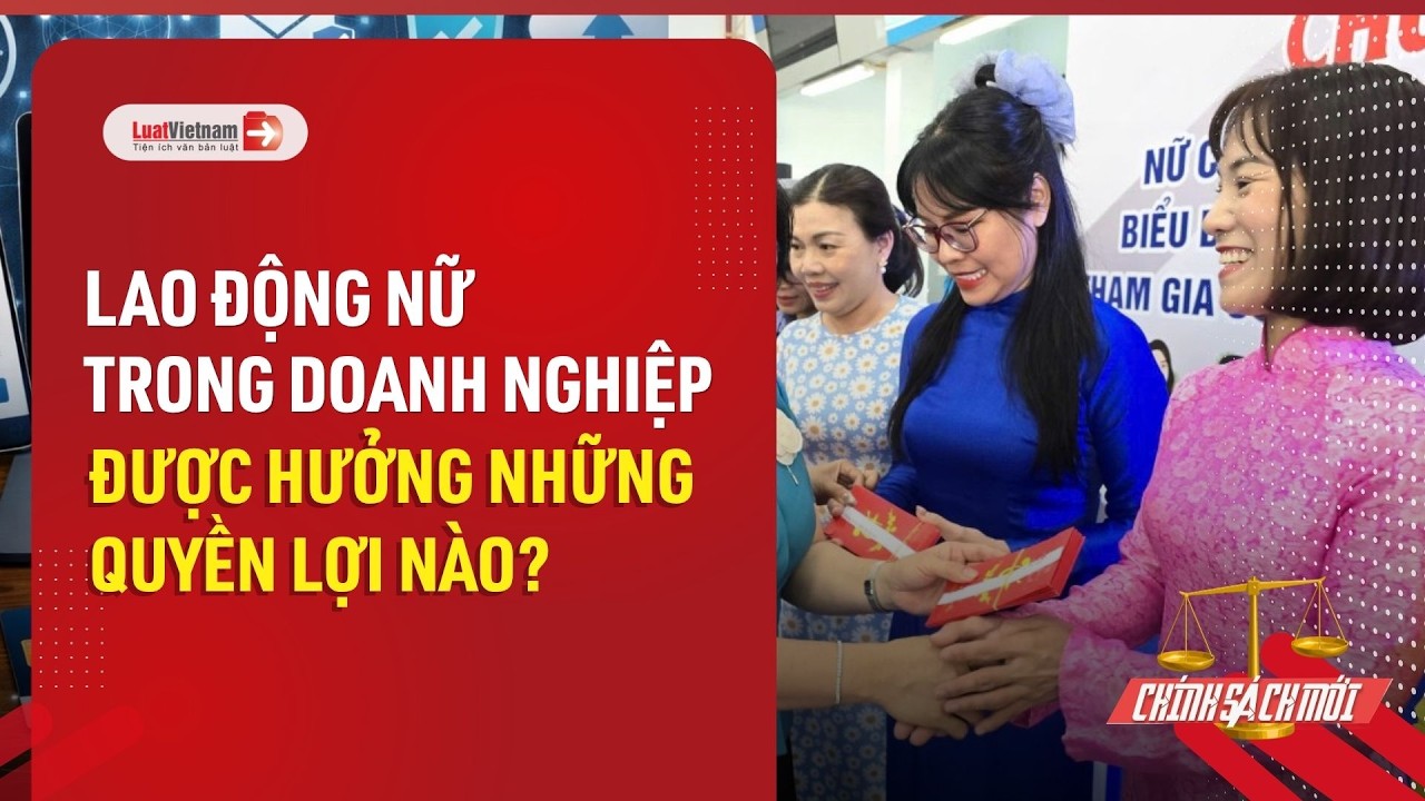 Lao động nữ trong doanh nghiệp được hưởng những quyền lợi nào?