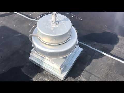 Turkey Vultures Destroying the Roof this Business in Freehold, NJ