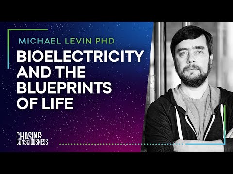 BIOELECTRICTY & THE BLUEPRINTS OF LIFE - Michael Levin PHD #49