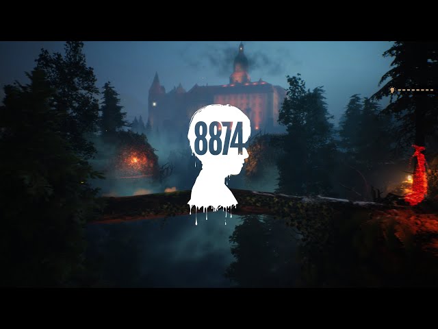 Video - 8874 (PC)