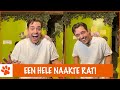 De naakte waarheid over deze rat | DierenpraatTV