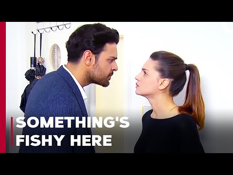 Yagiz and Melek's Engagement Party - Can't Stop Loving You