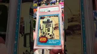 Download lagu 1977 Topps Star Wars r2d2 Rookie - May the force be with you #starwars #cardcollecting mp3 Download lagu 1977 Topps Star Wars r2d2 Rookie - May the force be with you #starwars #cardcollecting mp3