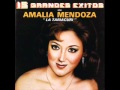 seis años.amalia mendoza