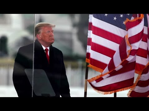 特朗普的律師透露了彈劾辯護的內容 (Trump's lawyers reveal impeachment defense)