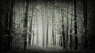 Xasthur - Telepathic with the Deceased - [Full Album]