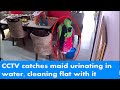 Shocking Maid Caught On Camera Mopping Floor With Urine In Greater Noida S Housing Society