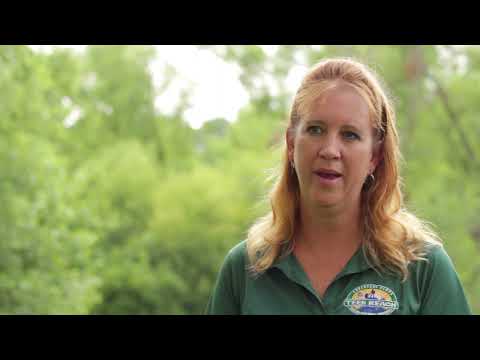 TRAClife Promo Video