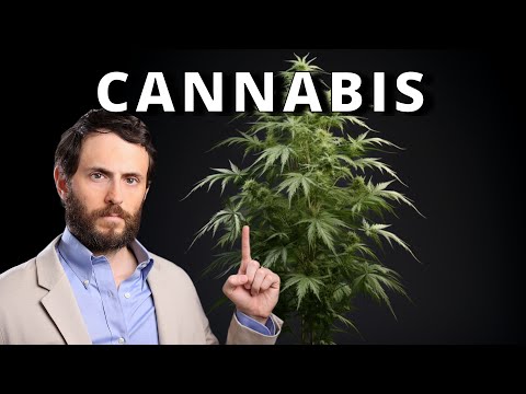 Cannabis: Lo Bueno, Lo Malo y Lo Feo