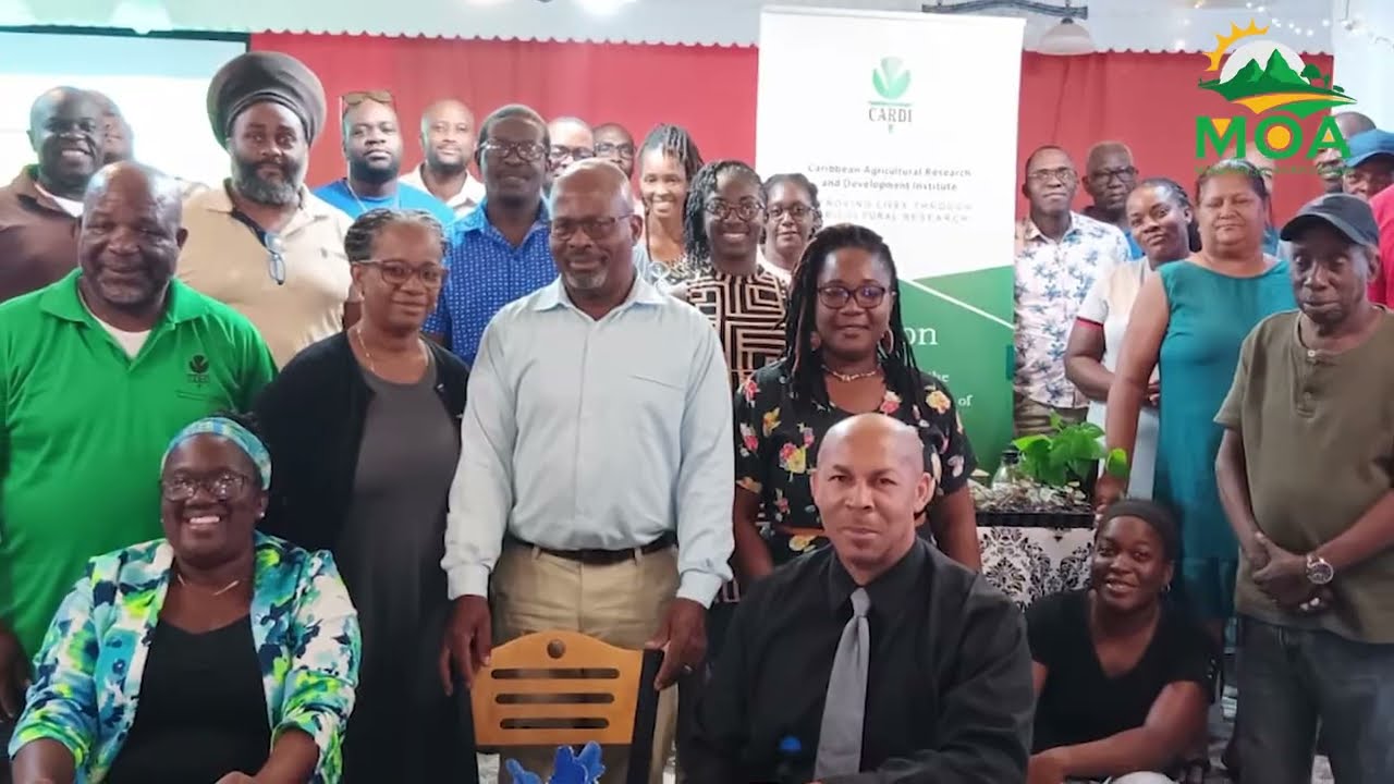 Farmers Now More Equipped to Drive Yam Production Through New Tissue Culture Training VNR