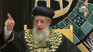 האם מותר לכוונן סטנדר בשבת I מרן הראשון לציון הגאון רבי דוד יוסף שליט＂א  שבט תשפ"ו (רבנים שונים) - התמונה מוצגת ישירות מתוך אתר האינטרנט יוטיוב. זכויות היוצרים בתמונה שייכות ליוצרה. קישור קרדיט למקור התוכן נמצא בתוך דף הסרטון