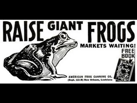 Mummers Parade 2013-H.264 800Kbps Streaming