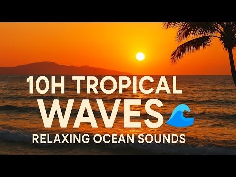 10 Hours Ocean Waves – Sleep, Relax, Meditation, Study, Babies & Adults 🌊🌙