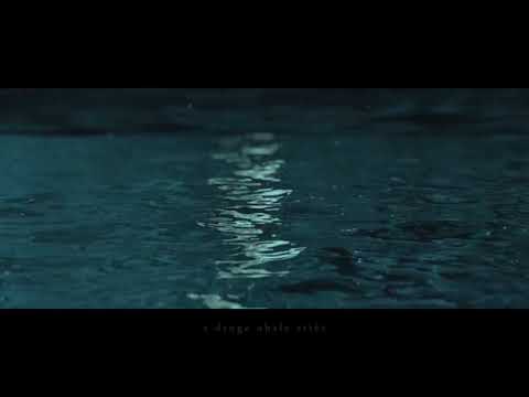 Libar - Zakon soli (audio)