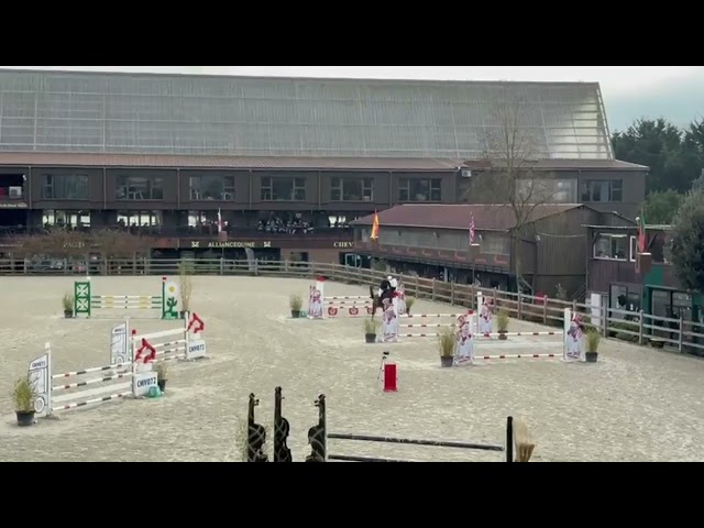 Jument 6 ans par dexter de kerglenn 