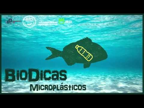 BioDicas #1: Microplásticos