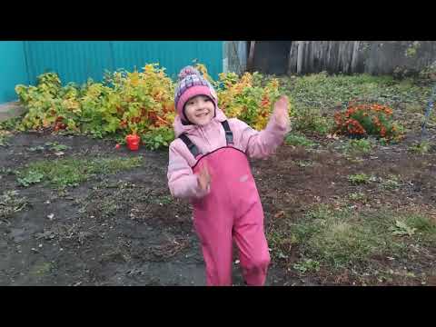 Latifa collects flowers and berries