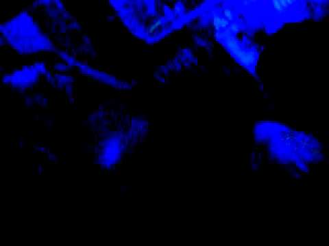 Serata QClub-Christian Kou-16-10-2010