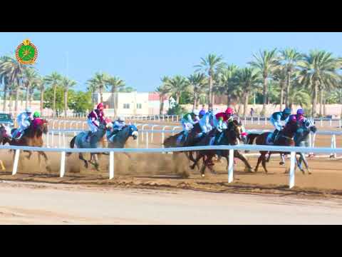 الشوط الرابع - السباق الرابع - 10/11/2018 - Race 4 4th meeting