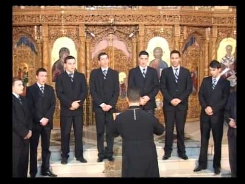 Theoforos-Plugusorul, de Em Slusanschi