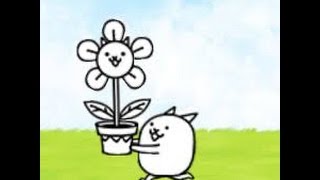 How to get flower cat in battle Cats