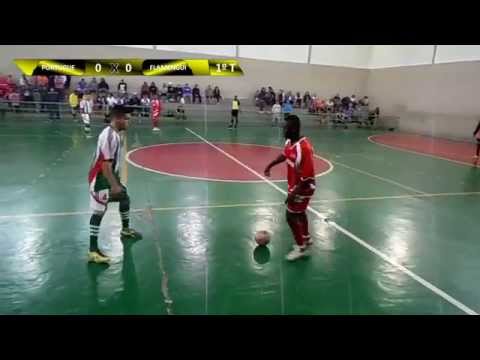 2ª Copa Municipal Osasco melhores momentos Portuguesinha x Flamenguinho