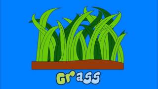 Fun with Phonics - br, cr, fr, gr, dr & tr sounds.