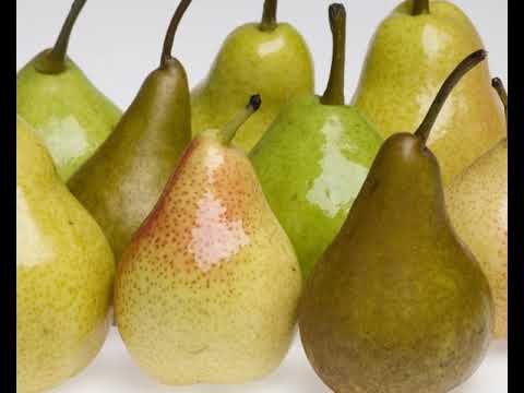 Crop Production Technology of Pear