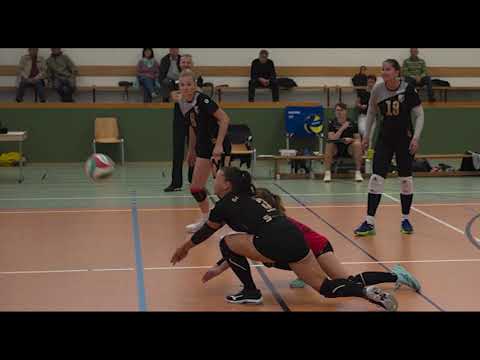 Spielersuche Abteilung Volleyball | SC Freital