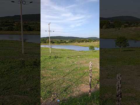 #as #notícias #do #agro as notícias das chuvas no ceará em Cariús