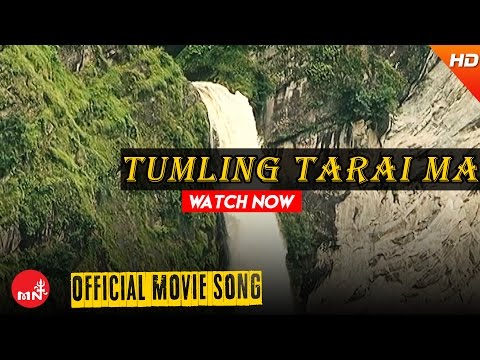 टुम्लिङ्टारैमा नी लै लै - मारुनी ख्याली नृत्य | TUMLING TARAIMA MARUNI KHYALI NRITYA, ARUN UPATYAKA