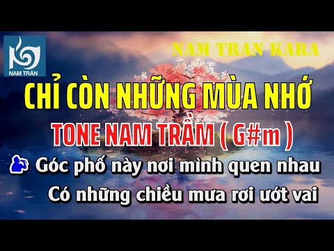 Karaoke Chỉ Còn Những Mùa Nhớ Tone Nam Trầm | Nam Trân