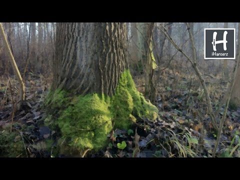 Ja mam tylko jeden świat - Piosenki harcerskie