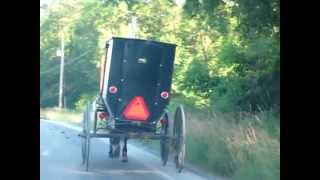 preview picture of video 'Amish Buggy on way home to Punxsutawney'