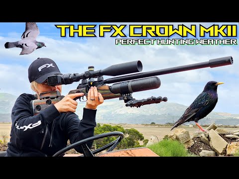 FX Crown MK2 in Perfect Hunting Weather | 21gr Javelin Slugs | FX Impact M3 700mm | Pest Control