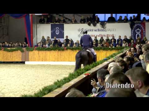 Diatendro deutsch 2015