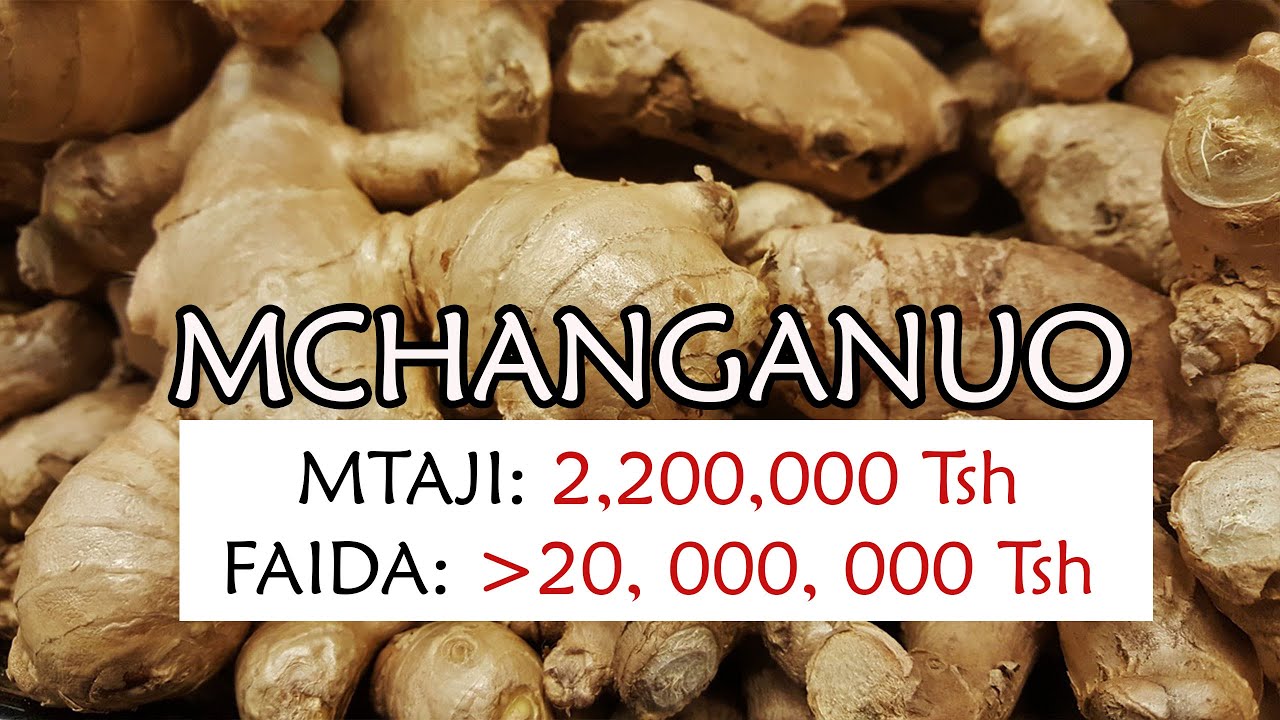 MCHANGANUO MTAJI & FAIDA KILIMO CHA TANGAWIZI: Mtaji Tsh 2,200,000 - Faida 20,000,000 Tsh