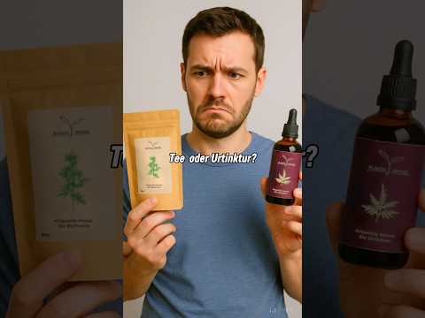 So nimmst du Artemisia annua richtig ein 🌱 #artemisiaannua #artemisia #artemisinin #bitter