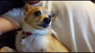 Title Lulu James: Sweetest Thing