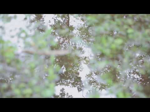 戸隠古道大ウォーク