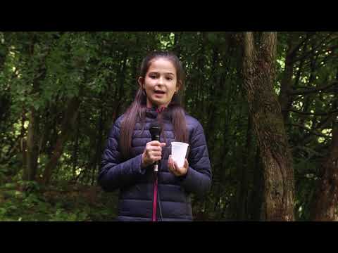 ALEXIA TANASE - În cât timp se descompun gunoaiele lăsate în natură de turiști